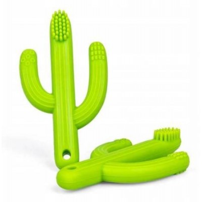 Hambaharjad  Dumel Giligums hambahari Kaktus